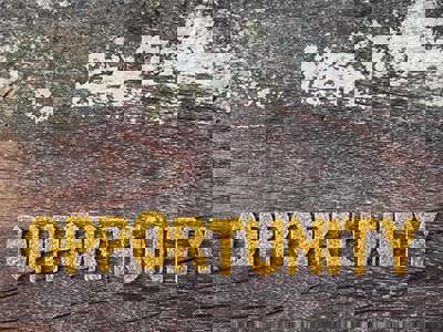 the word opportunity spelled out on a wooden plank.
